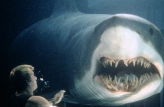Фильмы про акул