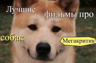 Фильмы про собак