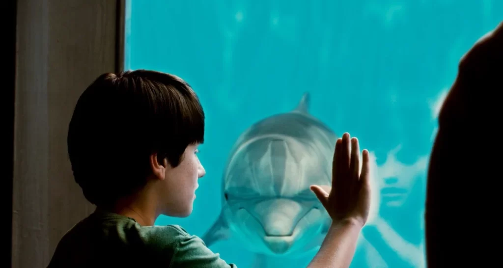 История дельфина фильм