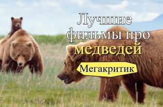 Фильмы про медведей