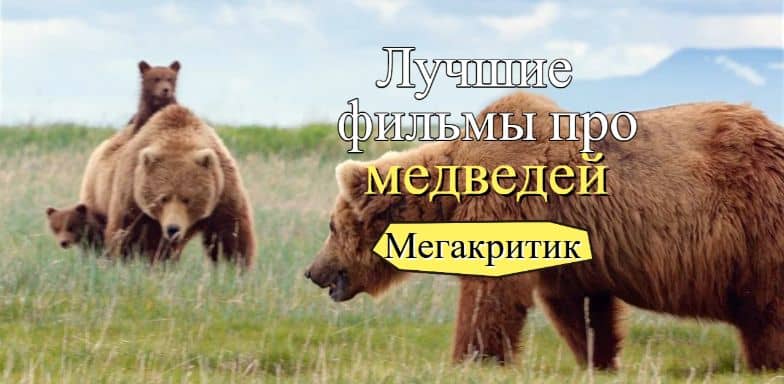 Фильмы про медведей