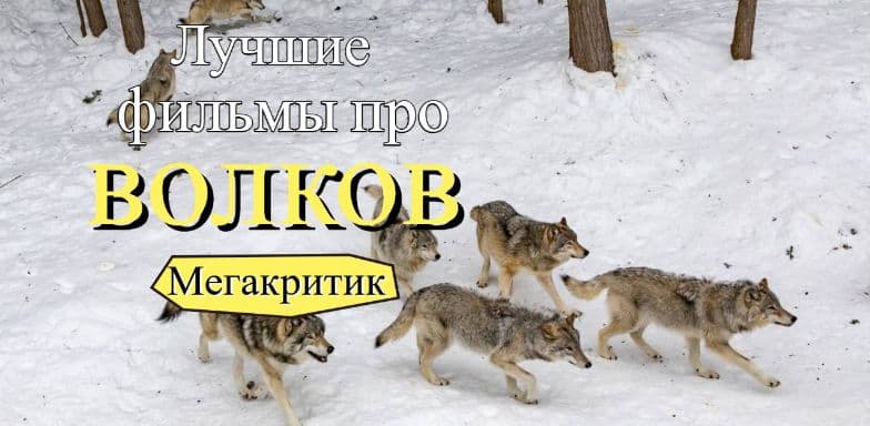 Фильмы про волков